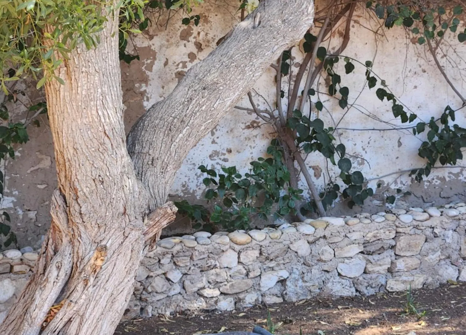 Le Caroubier Villa Essaouira
